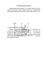 Eseja 'Īrijas trīs gadu ekonomiskā attīstība', 13.