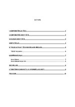 Referāts 'Uzņēmuma "Tele2 Latvija" korporatīvā tēla analīze sociālajos medijos Instagram u', 2.