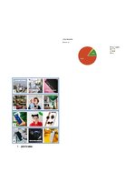 Referāts 'Uzņēmuma "Tele2 Latvija" korporatīvā tēla analīze sociālajos medijos Instagram u', 11.