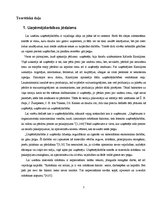 Referāts 'Uzņēmējdarbības aktivitātes izmaiņas Latvijā no 1999.- 2009.gadam', 7.