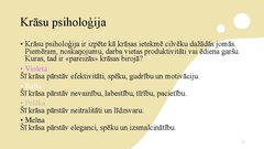 Prezentācija 'Biroja plāns', 2.