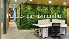 Prezentācija 'Biroja plāns', 12.