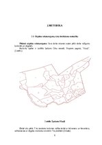 Referāts 'Ražīguma izmaiņas skuju koku vējgāzēs', 6.