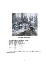 Referāts 'Ražīguma izmaiņas skuju koku vējgāzēs', 7.