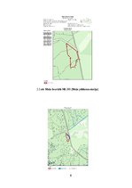 Referāts 'Ražīguma izmaiņas skuju koku vējgāzēs', 8.