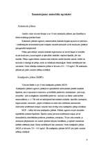 Referāts 'Virtuve', 8.