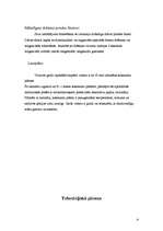 Referāts 'Virtuve', 9.