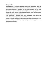 Referāts 'Atmiņa', 8.