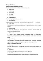 Referāts 'Atmiņa', 10.