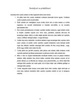 Referāts 'Ātro uzkodu ietekmi uz cilvēku organismu', 15.