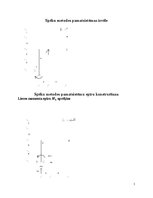 Paraugs 'Statiski nenoteicama rāmja aprēķins ar spēku metodi', 3.