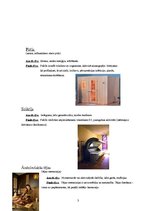 Referāts '"SPA salona" zīmola pozicionēšanas izstrādes plāns', 3.