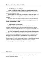 Referāts '"SPA salona" zīmola pozicionēšanas izstrādes plāns', 4.