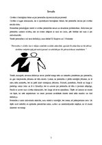 Referāts 'Personības teorija pēc Junga un Freida', 1.