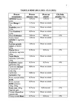 Referāts 'Cenu salīdzināšana Rimi un Maxima veikalam', 7.