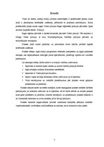 Prakses atskaite 'Prakses atskaite par darbu policijā', 3.