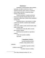 Referāts 'Cilvēcisko attiecību skola menedžmentā', 12.