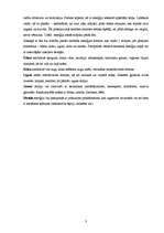 Referāts 'Fen šui - ideālam rezultātam', 3.