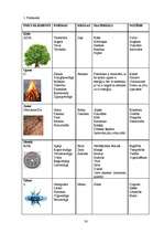 Referāts 'Fen šui - ideālam rezultātam', 30.