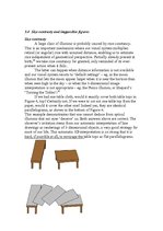 Referāts 'Optical Illusions', 8.