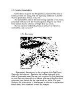 Referāts 'Optical Illusions', 11.