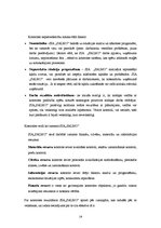 Referāts 'Kursa projekts priekšmetā "Vadības teorija"', 16.
