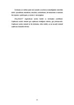 Referāts 'Kursa projekts priekšmetā "Vadības teorija"', 20.