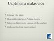 Referāts 'Kursa projekts priekšmetā "Vadības teorija"', 27.