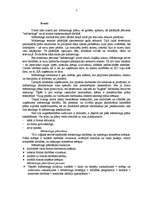 Referāts 'Mārketinga plāns', 3.