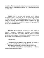 Eseja 'Konflikti', 4.