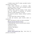 Diplomdarbs 'Es esmu pirmais vai pēdējais', 5.