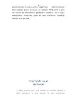 Diplomdarbs 'Es esmu pirmais vai pēdējais', 65.