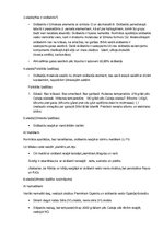 Prezentācija 'Skābeklis', 14.