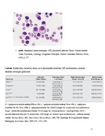 Referāts 'Aseptisks meningīts', 12.