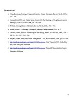 Referāts 'Aseptisks meningīts', 13.