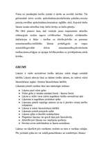 Referāts 'Likums un tiesības', 6.