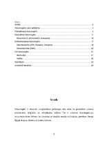 Referāts 'Halucinogēnās vielas', 2.