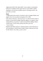 Referāts 'Halucinogēnās vielas', 23.