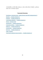 Referāts 'Halucinogēnās vielas', 25.