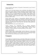 Referāts 'Austrija', 6.