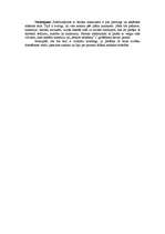 Eseja 'Baroka un klasicisma stilu salīdzinājums', 2.