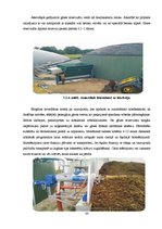 Diplomdarbs 'Biogāzes ražošana un izmantošana notekūdeņu attīrīšanas iekārtu kompleksā', 33.