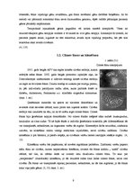 Referāts 'Cilmes šūnu izmantošanas iespējas Latvijā', 9.