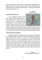 Referāts 'Cilmes šūnu izmantošanas iespējas Latvijā', 15.