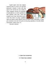 Referāts 'Cilmes šūnu izmantošanas iespējas Latvijā', 16.