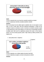 Referāts 'Cilmes šūnu izmantošanas iespējas Latvijā', 26.