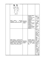 Konspekts 'Treniņa plāns fitnesā', 21.