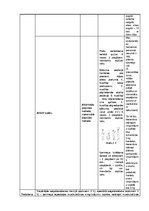 Konspekts 'Treniņa plāns fitnesā', 22.