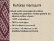 Prezentācija 'Kultūras mantojumi un tradīcijas', 2.