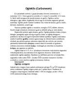 Konspekts 'Ogleklis', 1.